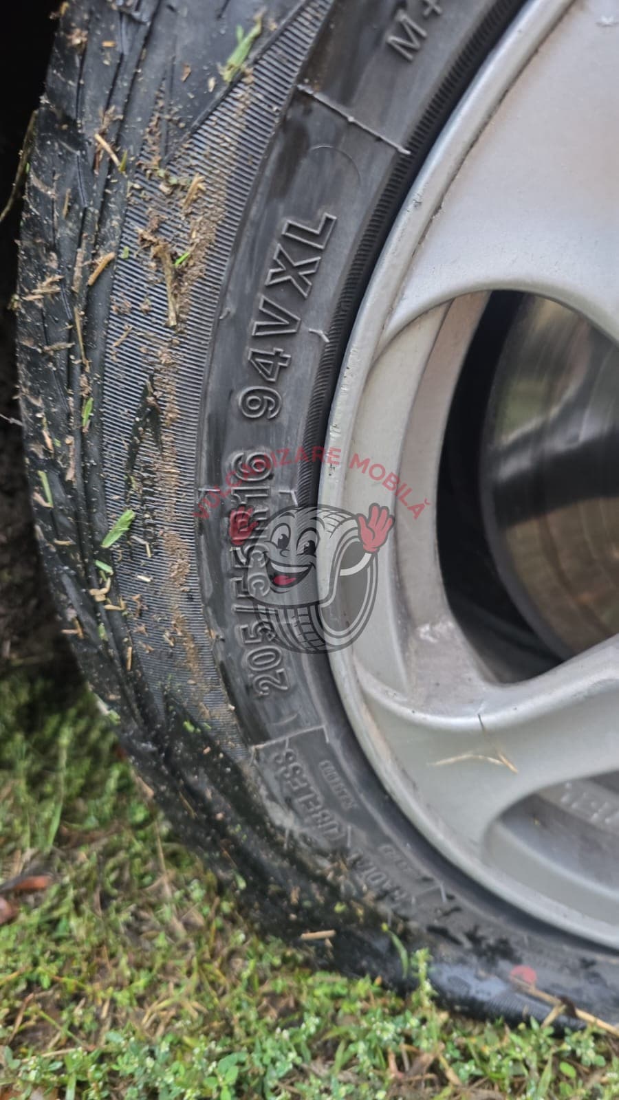 Mobil dekkservice – Brazii